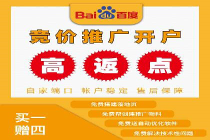 竞价推广实战：成功案例背后的技巧揭秘